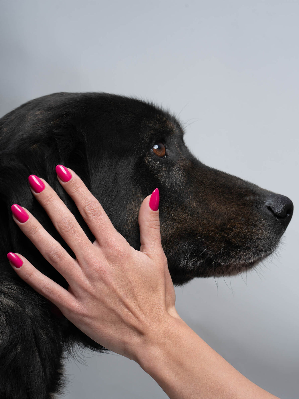 Onyx Nails Гель-лак 118 Pink Feelings 7 мл