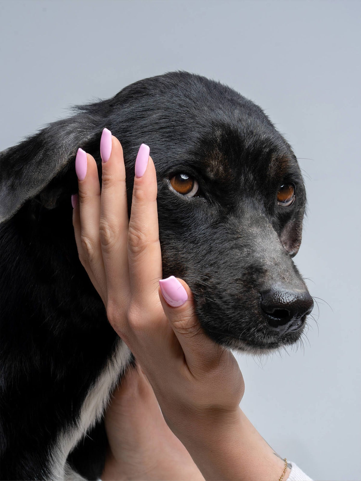 Onyx Nails Гель-лак 120 Best Friend 7 мл