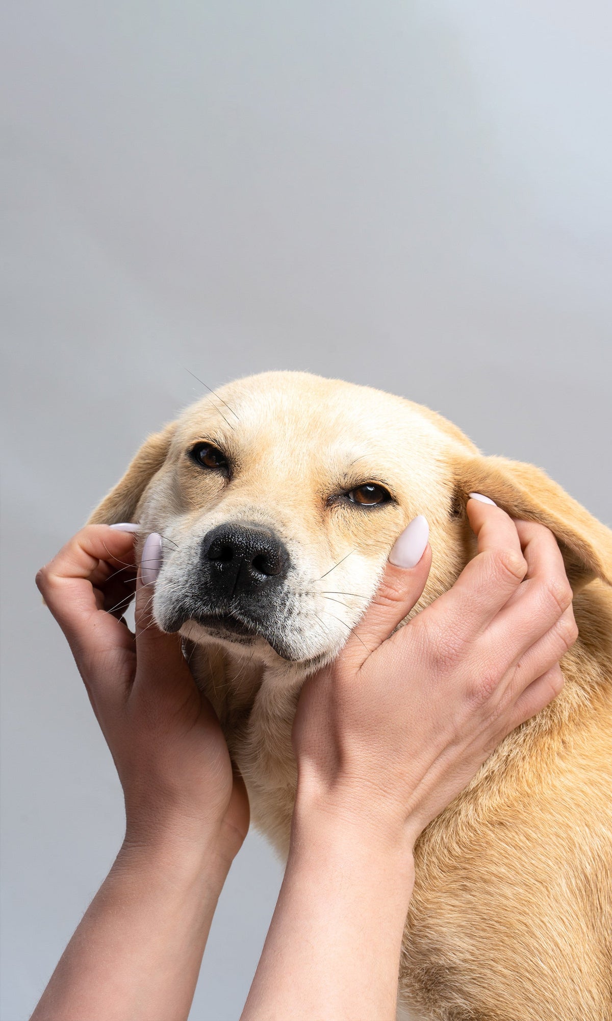 123 Furry nails on hands cuddling a dog